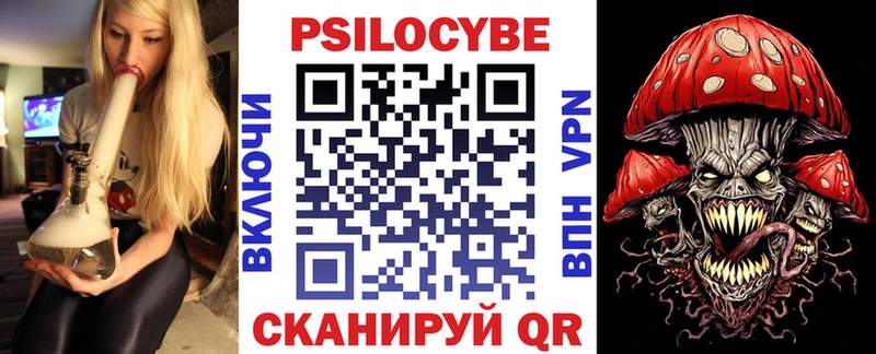 KRAKEN зеркало  Муром  Галлюциногенные грибы Magic Shrooms 